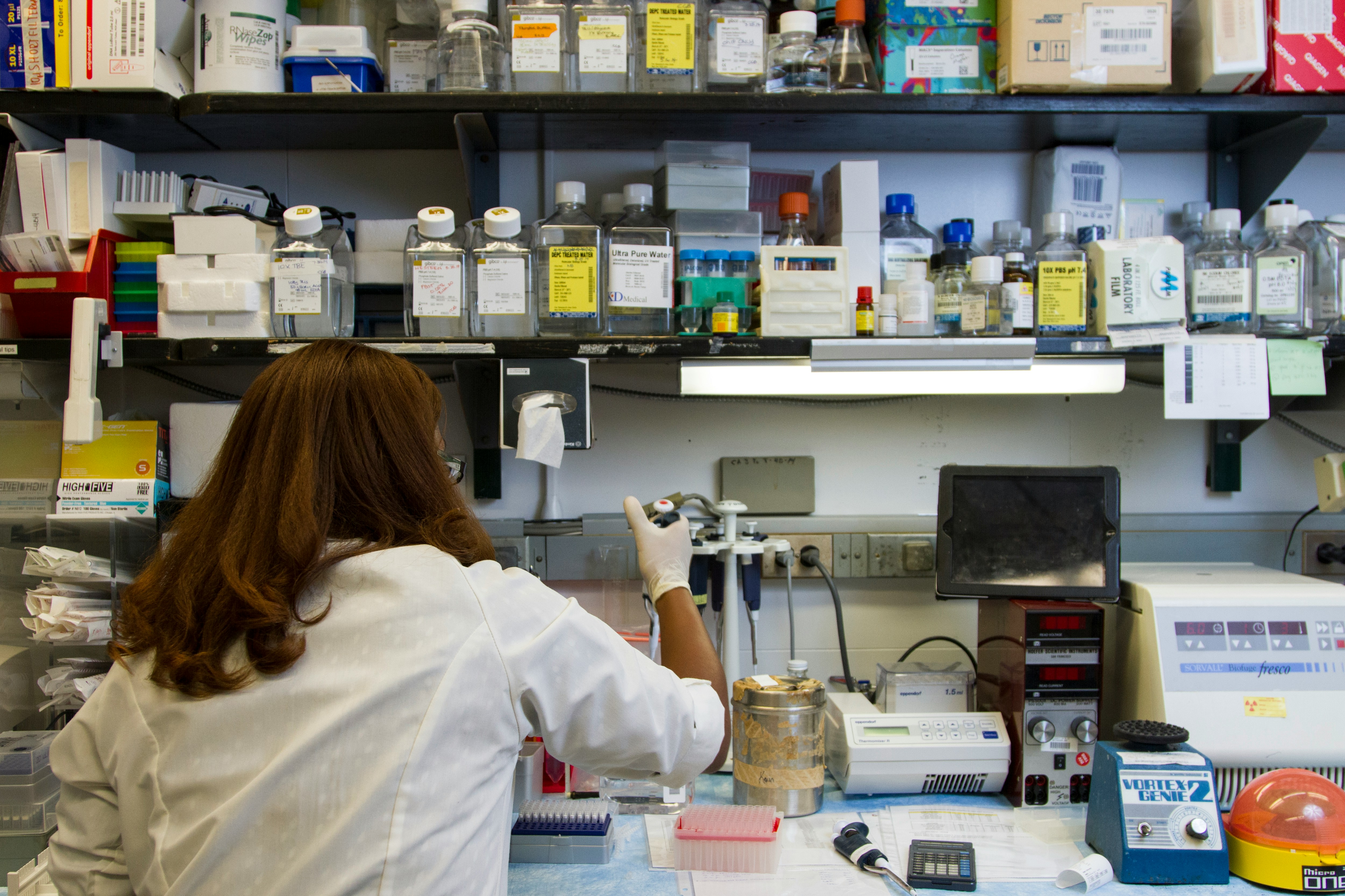 Benchmark Diagnostics pathology laboratory