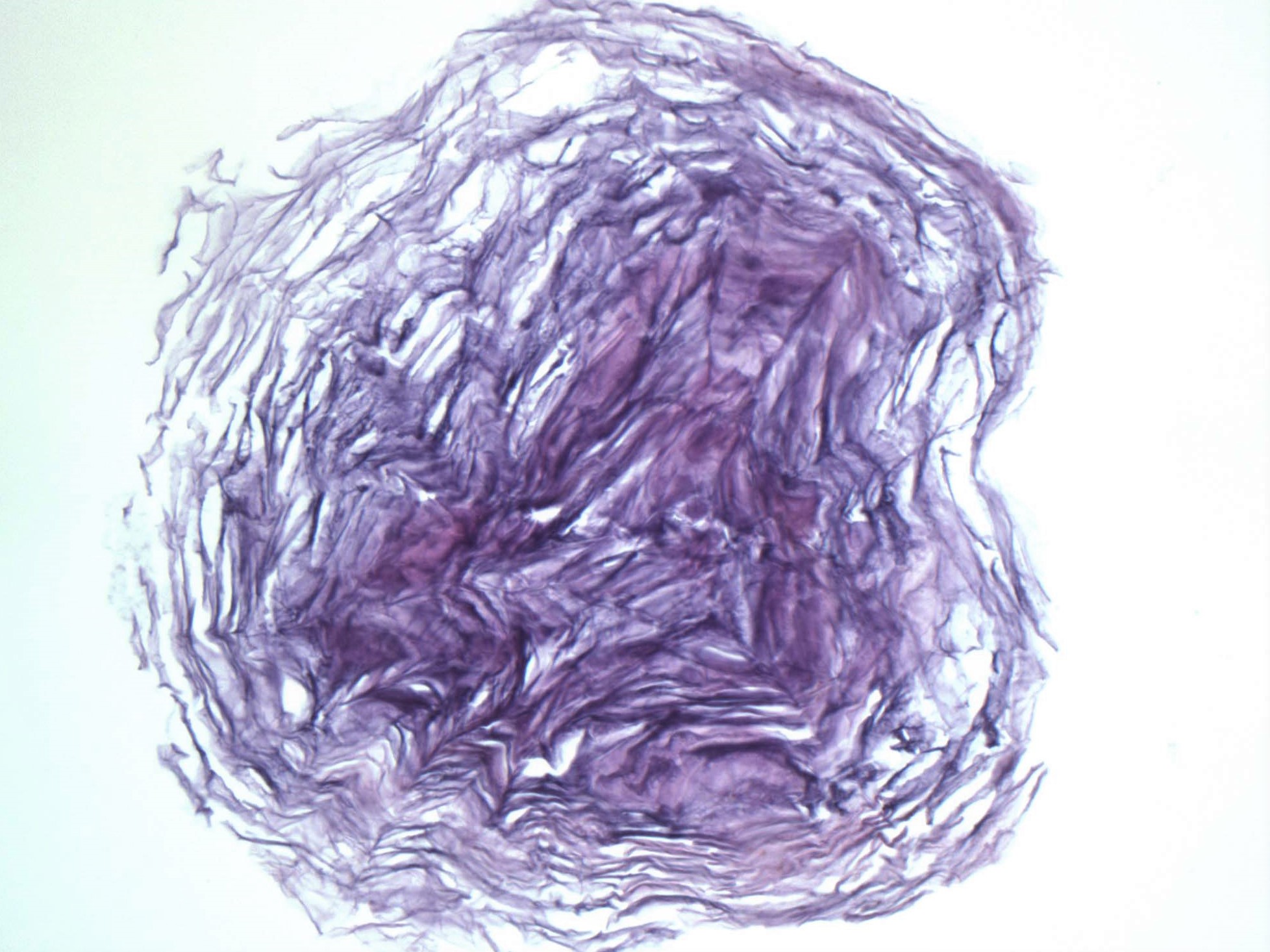 PathArt gallery image