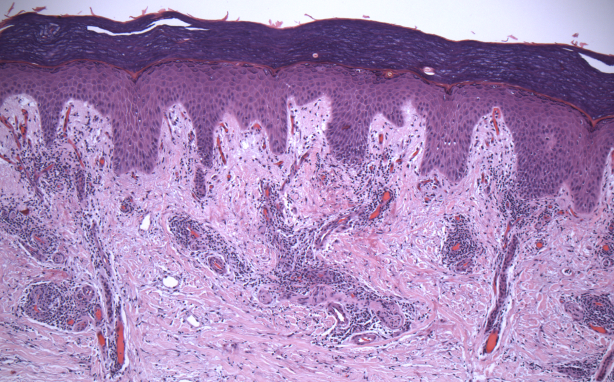 PathArt gallery image