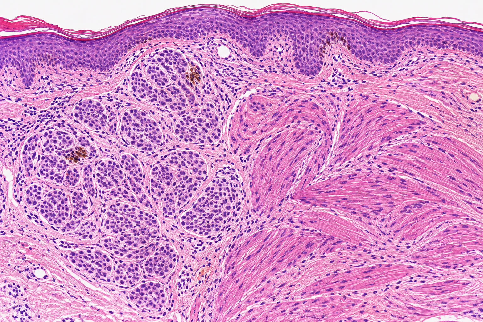 Featured pathology research publication