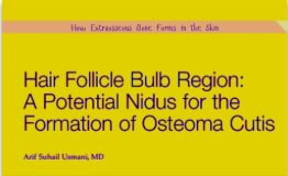 Original Insights in Dermatopathology